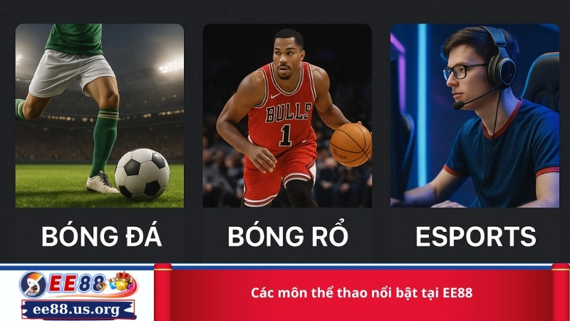 Các môn thể thao nổi bật tại EE88
