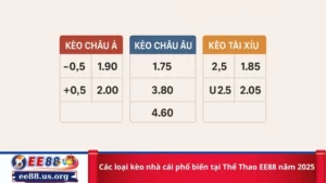 Các loại kèo nhà cái phổ biến tại Thể Thao EE88 năm 2025