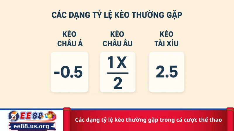 Các dạng tỷ lệ kèo thường gặp trong cá cược thể thao