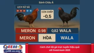 Cách chơi đá gà trực tuyến hiệu quả với livestream 2025