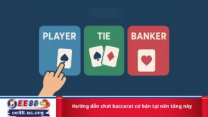 Hướng dẫn chơi baccarat cơ bản tại nền tảng này