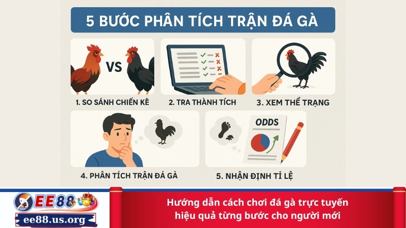 Hướng dẫn cách chơi đá gà trực tuyến hiệu quả từng bước cho người mới