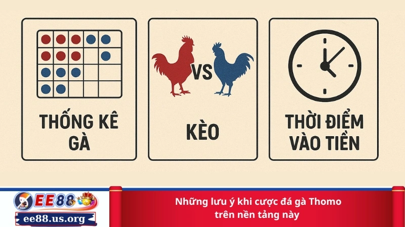 Những lưu ý khi cược đá gà Thomo trên nền tảng này