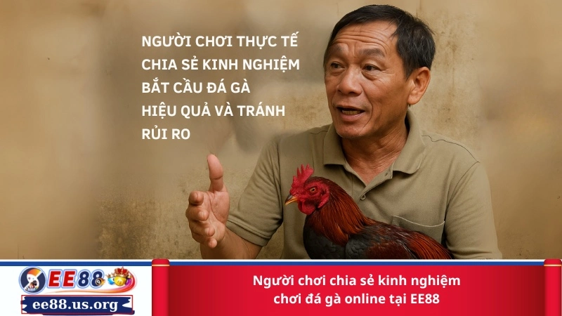 Người chơi chia sẻ kinh nghiệm chơi đá gà online tại EE88