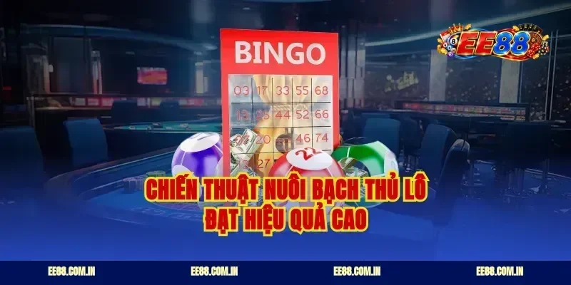 Chiến thuật nuôi bạch thủ lô đạt hiệu quả cao