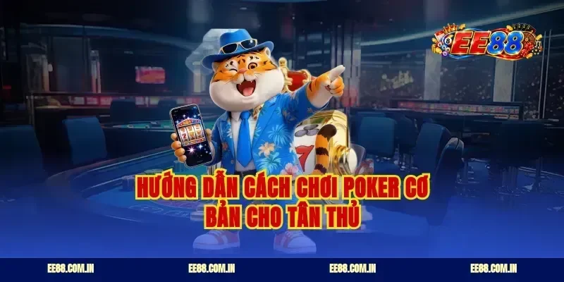 Hướng dẫn cách chơi poker cơ bản cho tân thủ