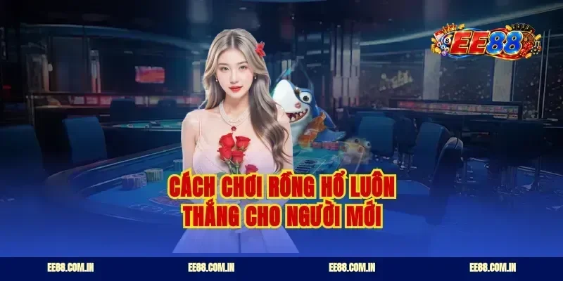Cách chơi rồng hổ luôn thắng cho người mới
