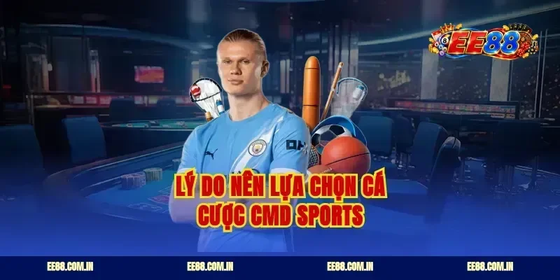 Lý do nên lựa chọn cá cược cmd sports