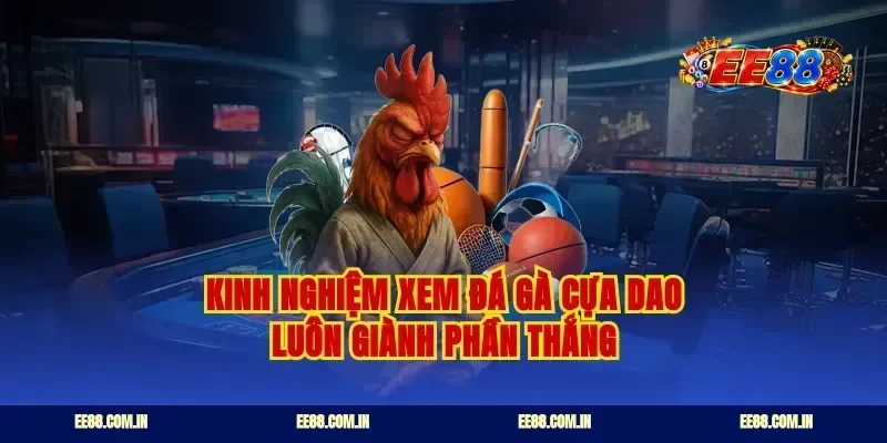 Kinh nghiệm xem đá gà cựa dao luôn giành phần thắng