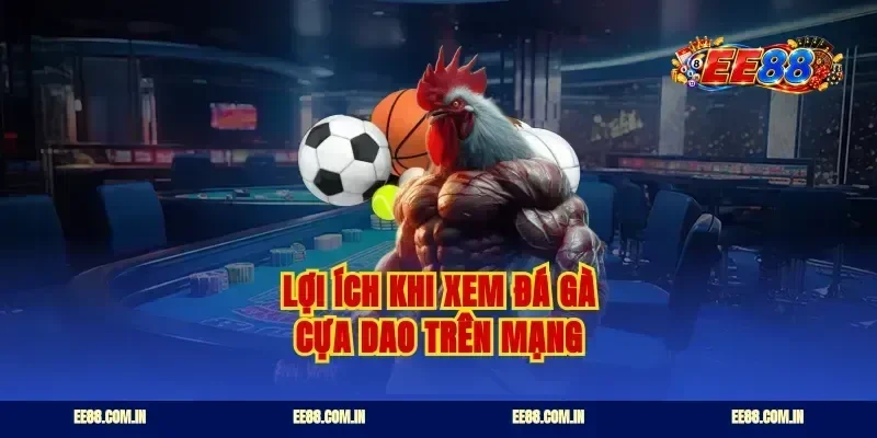Lợi ích khi xem đá gà cựa dao trên mạng