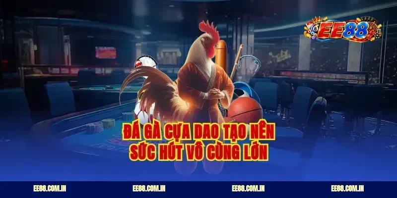 Đá gà cựa dao tạo nên sức hút vô cùng lớn