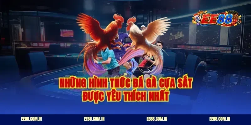 Những hình thức đá gà cựa sắt được yêu thích nhất