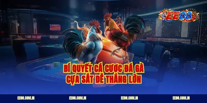 Bí quyết cá cược đá gà cựa sắt dễ thắng lớn