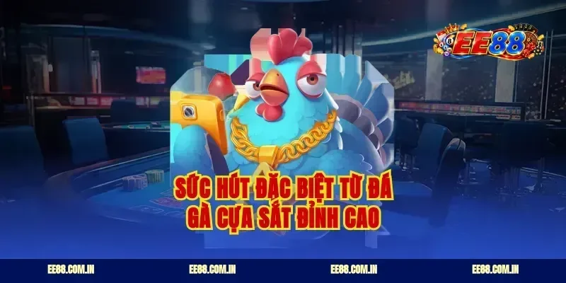 Sức hút đặc biệt từ đá gà cựa sắt đỉnh cao