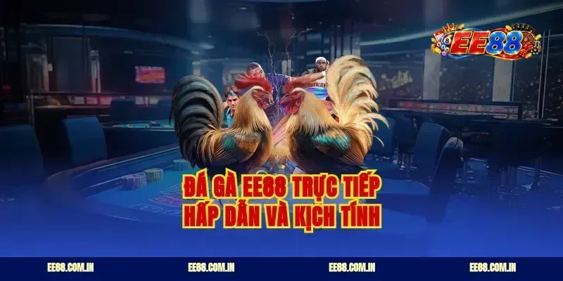 Đá gà ee88 trực tiếp hấp dẫn và kịch tính