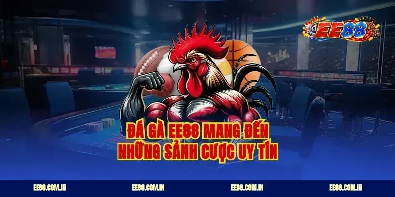 Đá gà ee88 mang đến những sảnh cược uy tín