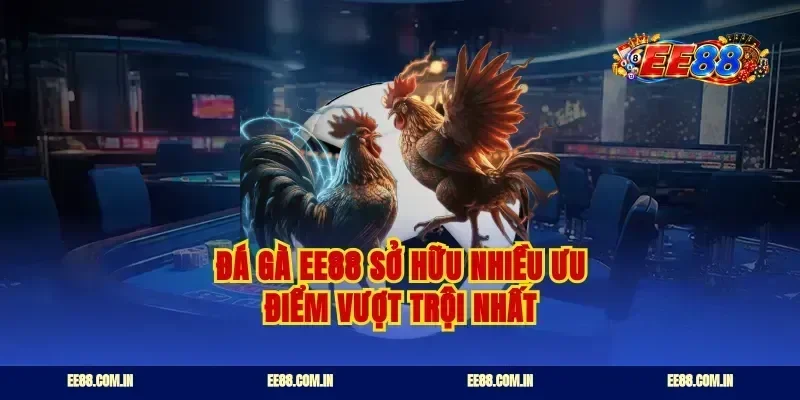 Đá gà ee88 sở hữu nhiều ưu điểm vượt trội nhất