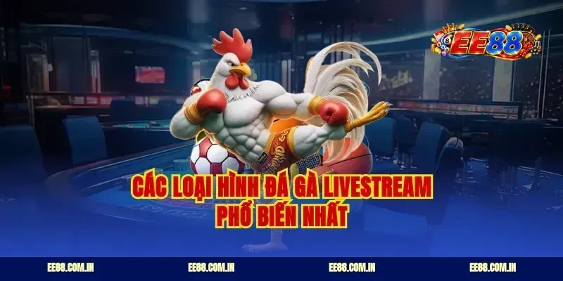 Các loại hình đá gà livestream phổ biến nhất