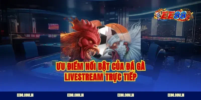 Ưu điểm nổi bật của đá gà livestream trực tiếp
