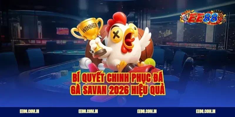 Bí quyết chinh phục đá gà Savan 2026 hiệu quả