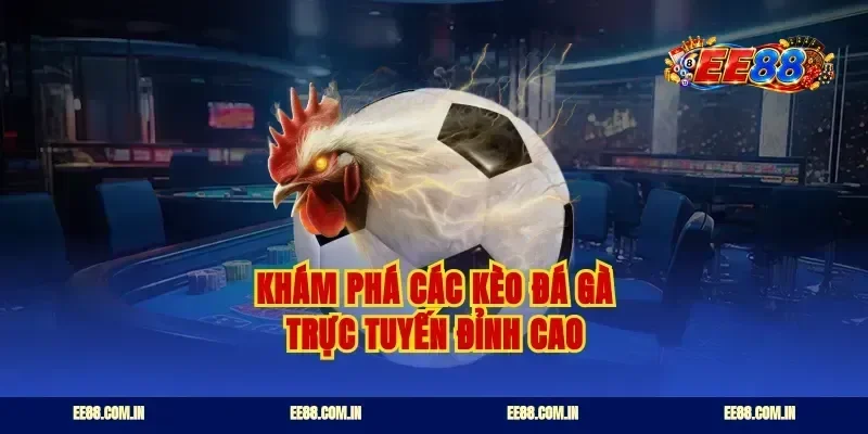 Khám phá các kèo đá gà trực tuyến đỉnh cao