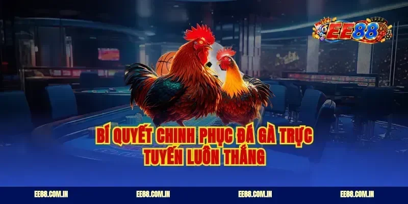 Bí quyết chinh phục đá gà trực tuyến luôn thắng
