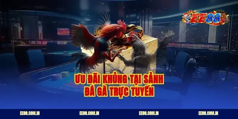 Ưu đãi khủng tại sảnh đá gà trực tuyến