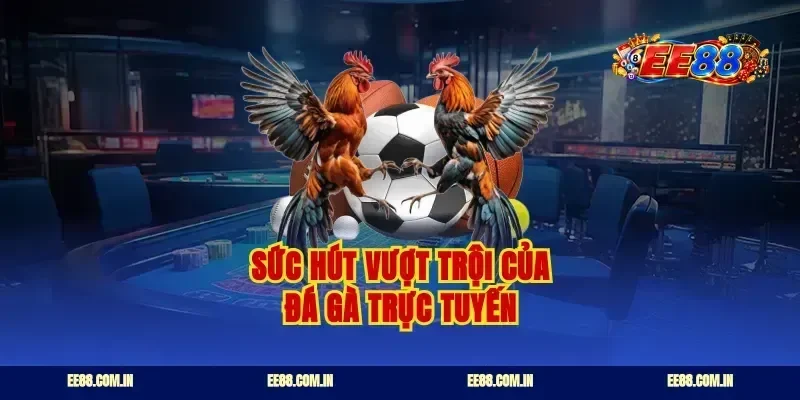 Sức hút vượt trội của đá gà trực tuyến