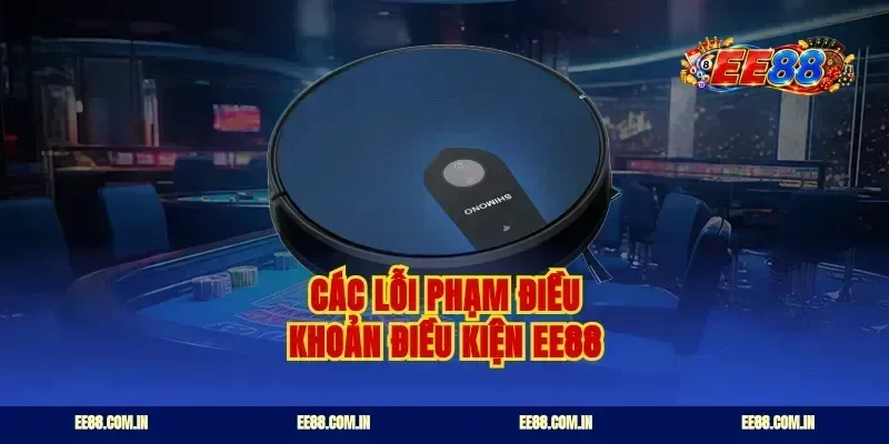 Các lỗi phạm điều khoản điều kiện EE88