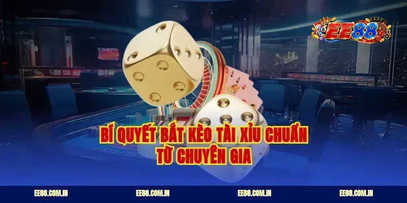 Bí quyết bắt kèo tài xỉu chuẩn từ chuyên gia